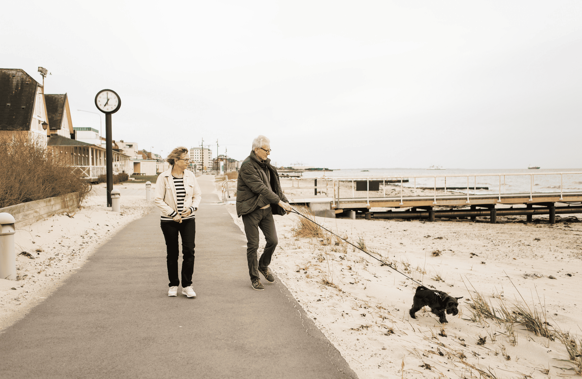 saltwater poisoning in dogs