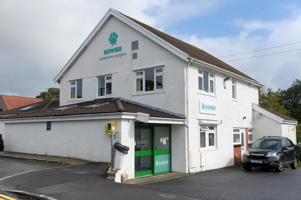 Gower Veterinary Surgery building