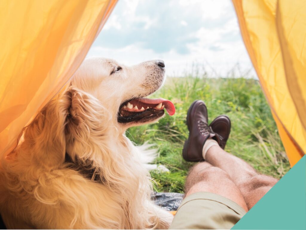 Dog and a man lying in a tent