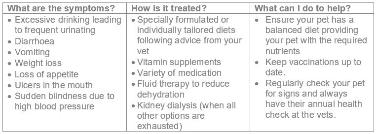 Table of kidney disease symptoms