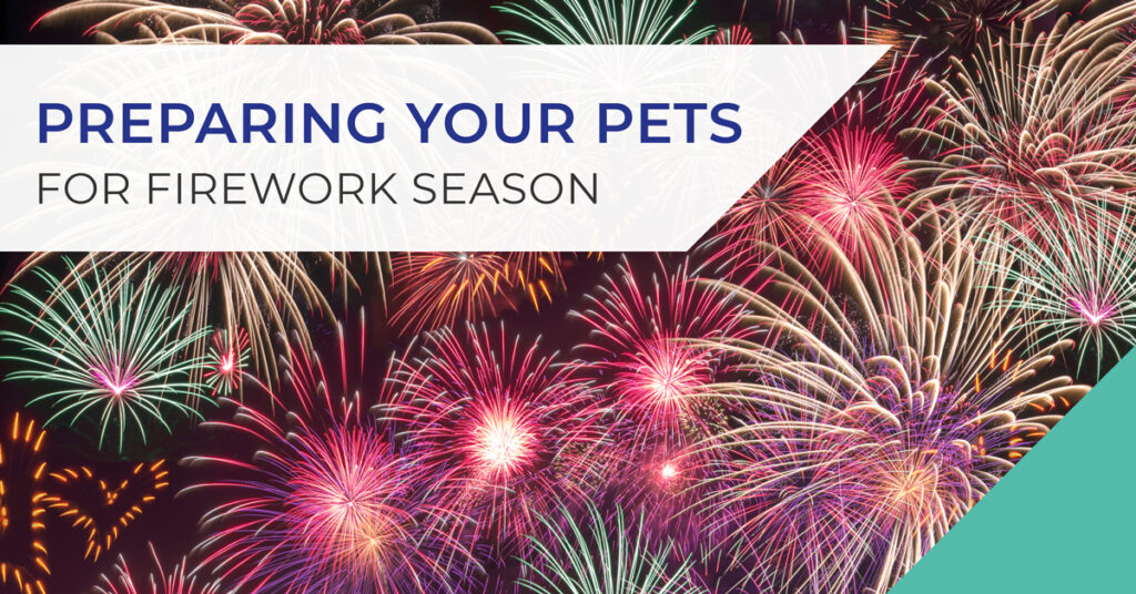 Fireworks Season