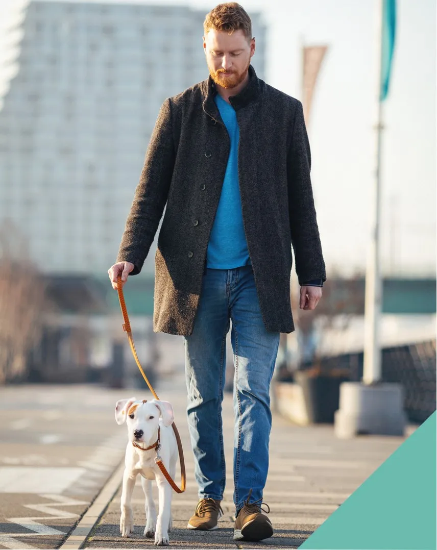 walking a dog