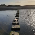 gower vets charity walk 2