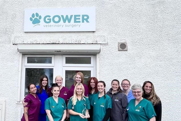 gower vets in swansea team members celebrate 20 years