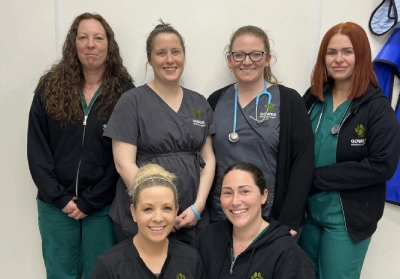 gower vets in swansea celebrates 20 year caring for pets in gower