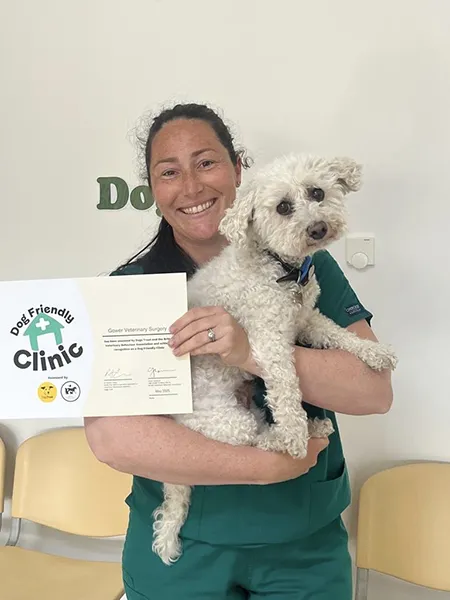 gower-vets-dog-friendly-clinic