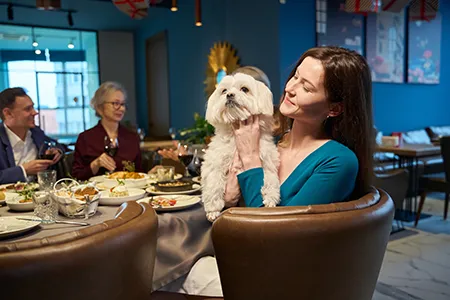 dogs-pubs