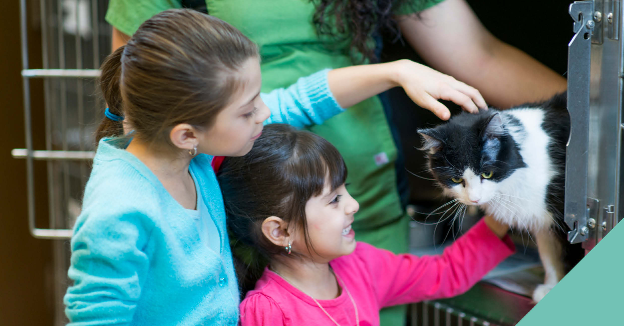 Two little girls stroking a black and white cat
