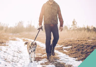 walk your dog month intro