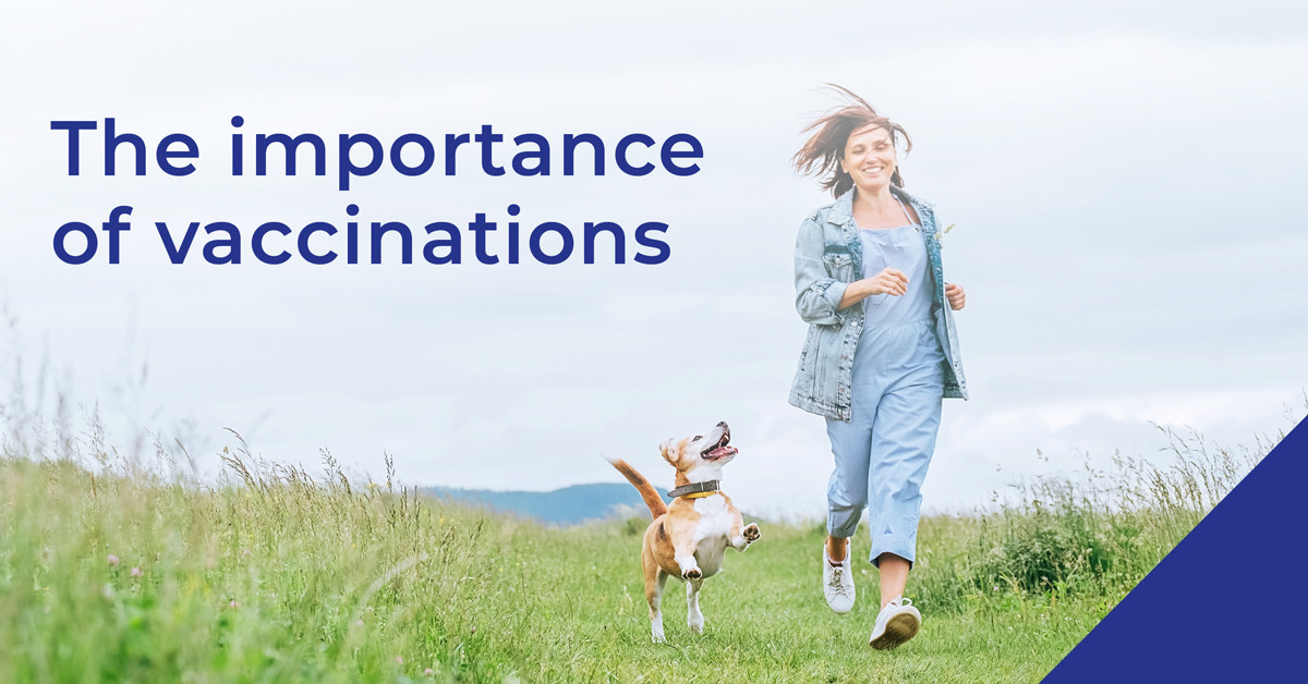 poster for the importance of vaccinations