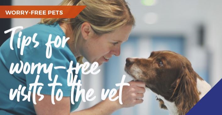 dog visiting vets