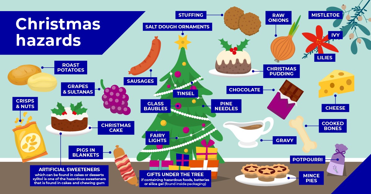 1a christmas hazards