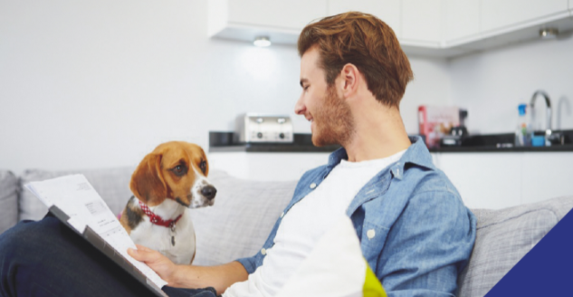 A vet looking at a dog