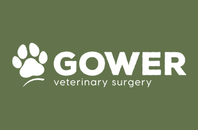 Common Breed Health Overviews