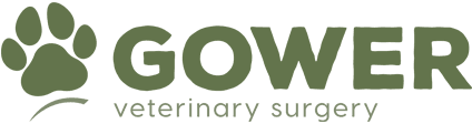 Gower Vets logo