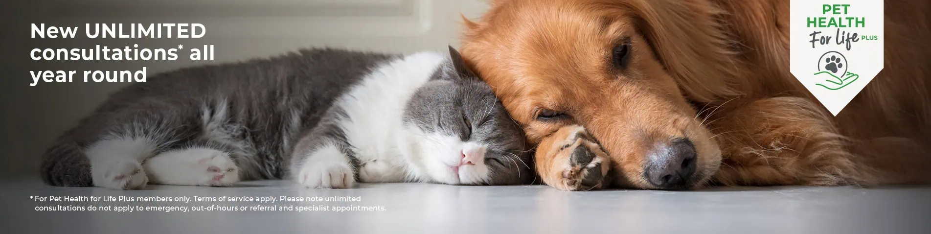 Pet Health For Life Plans | Gower Vets | Swansea