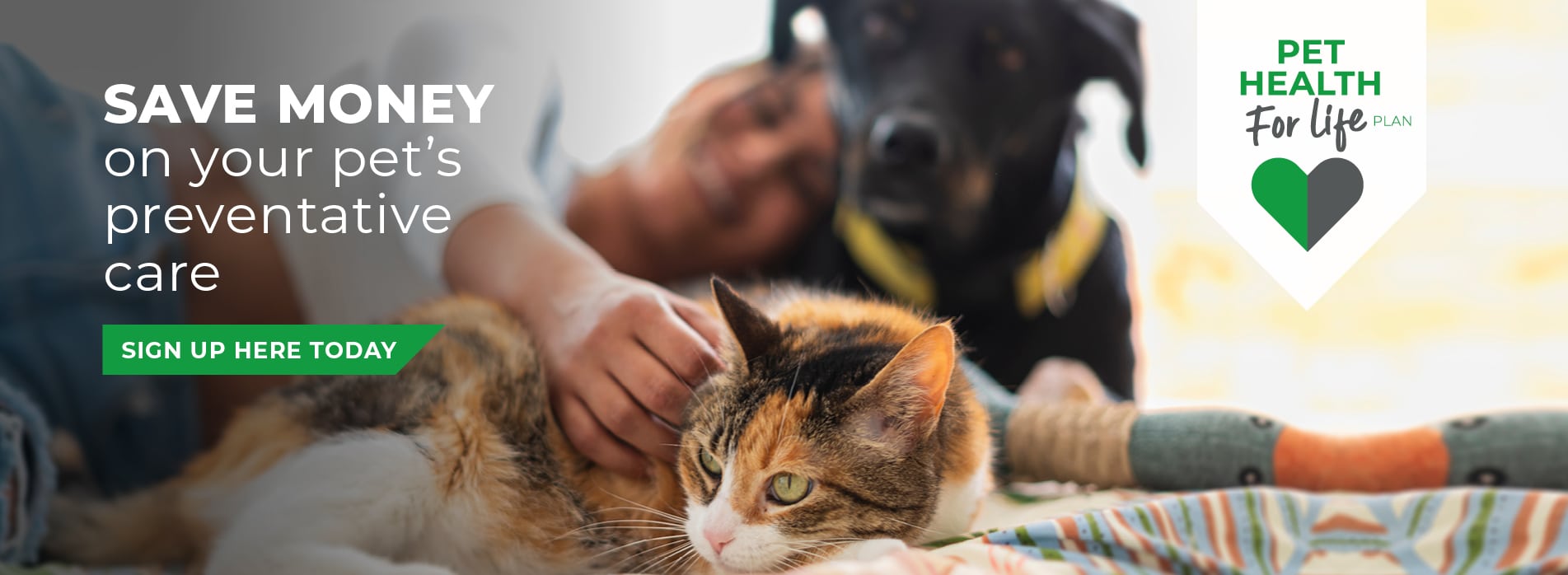 Gower Veterinary Clinic Vet in Swansea Vets Near Me