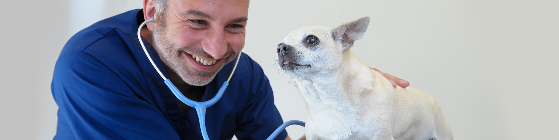 Veterinary Services | Gower Vets Swansea