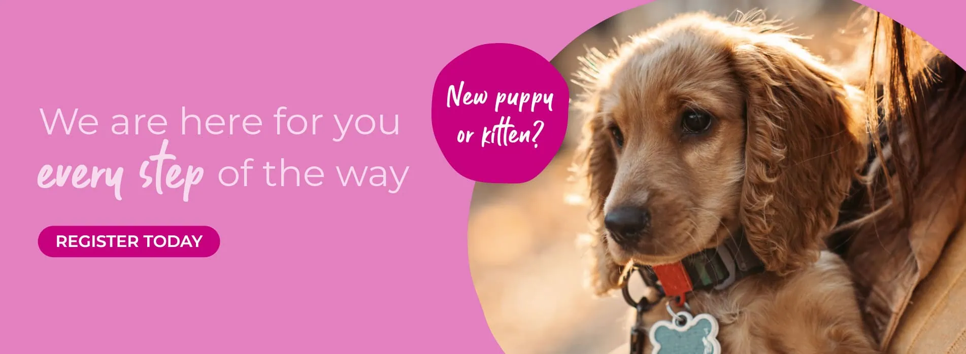 Gower Veterinary Clinic | Vet in Swansea | Vets Near Me