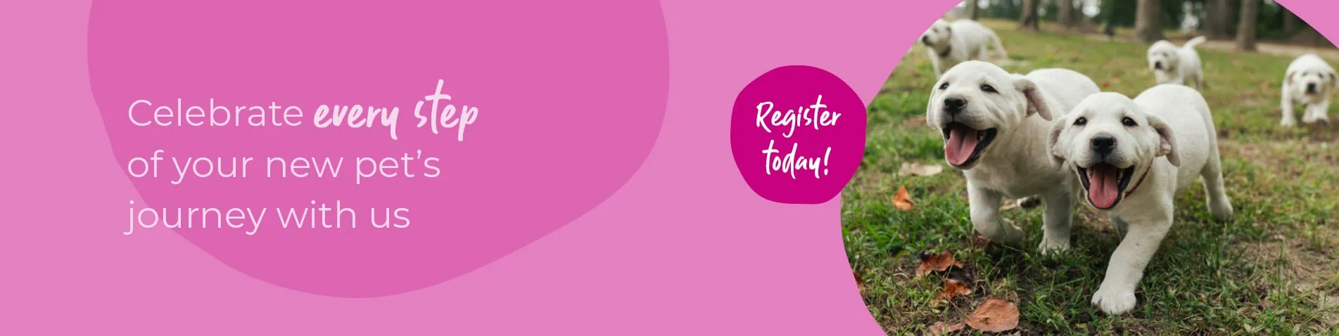 Start of Life for Your Puppy or Kitten