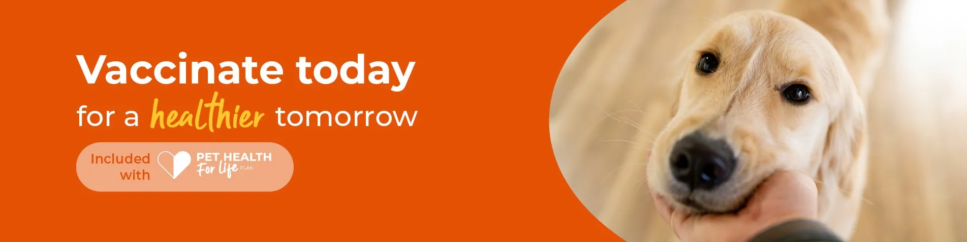 Pet Vaccinations | Dog | Cat | Rabbit | Gower Vets Swansea