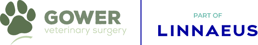 Gower Vets Logo