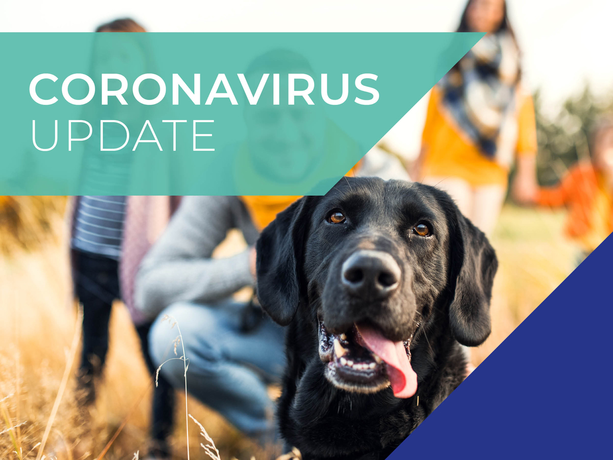 Coronavirus Update poster with black dog at the front