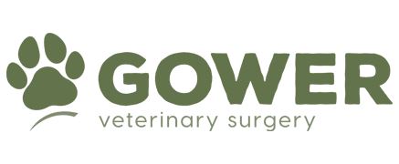 gower veterinary surgery logo