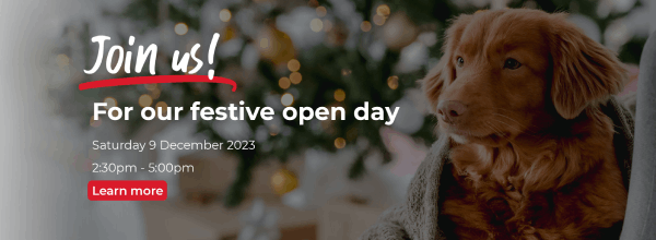 festive open day event in gower