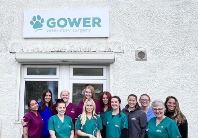 thumbnail - gower vets celebrates 20 years
