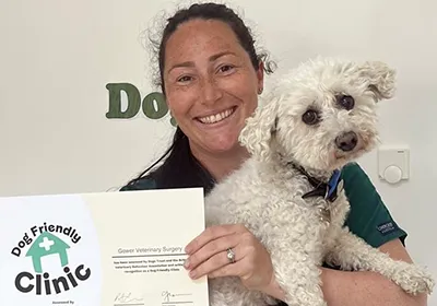 thumb-lauren-gower-vets-dog-friendly-clinic