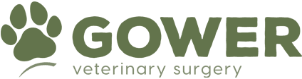 Gower Veterinary Surgery in Swansea